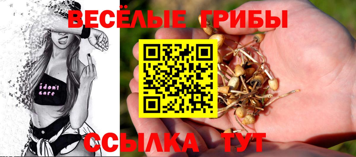 Галлюциногенные грибы прущие грибы Гагарин