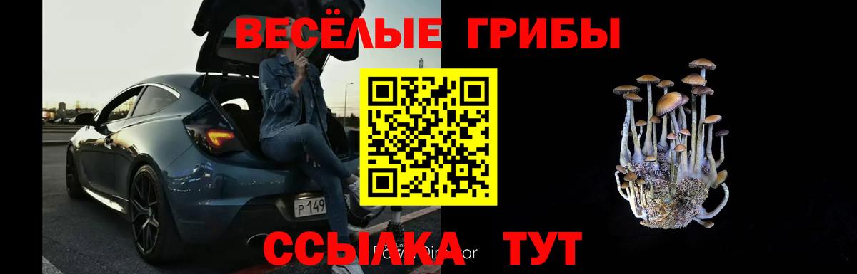 Галлюциногенные грибы GOLDEN TEACHER  Вход с VPN  Гагарин 